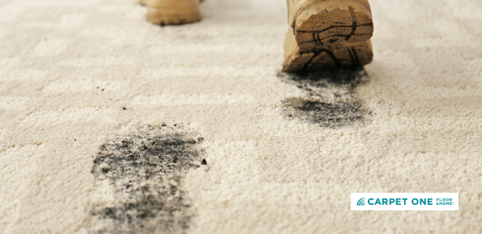 mud on carpet